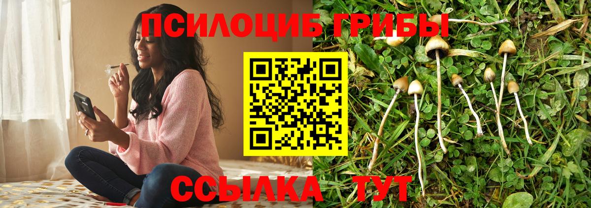 Псилоцибиновые грибы прущие грибы  Вход с VPN  Ачхой-Мартан 