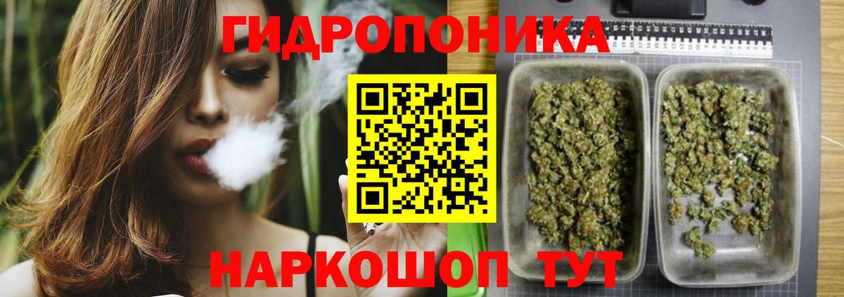Ачхой-Мартан  Шишки марихуана индика  Конопля OG Kush  Вход с VPN 